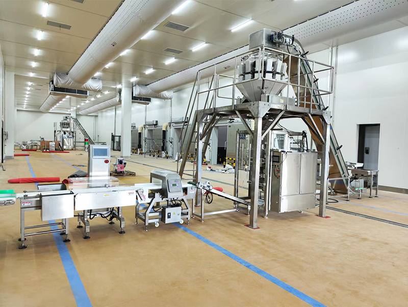 automatische Verpackungsmaschine für gefrorene Lebensmittel