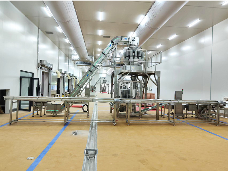 automatische Verpackungsmaschine für gefrorene Lebensmittel