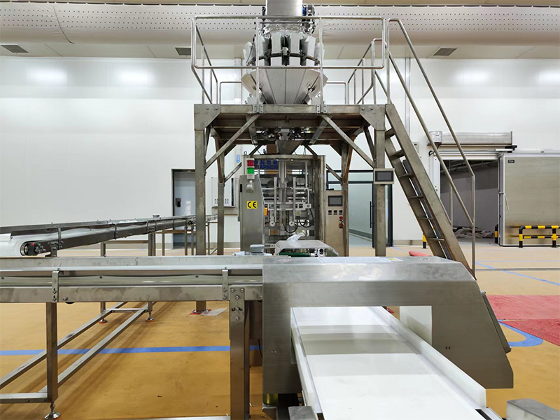 automatische Verpackungsmaschine für Tiefkühlkost.6