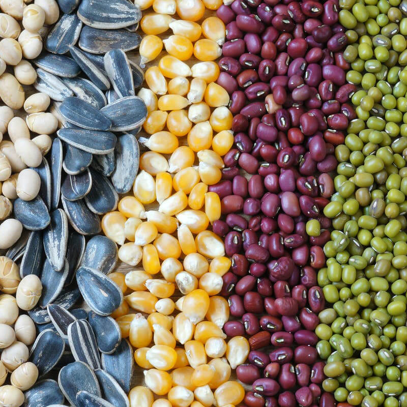 Automatische Samenverpackungsmaschine